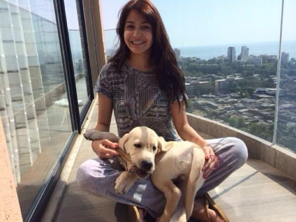 Anushka Sharma has a pet dog, who is also referred to as 'Dude'.