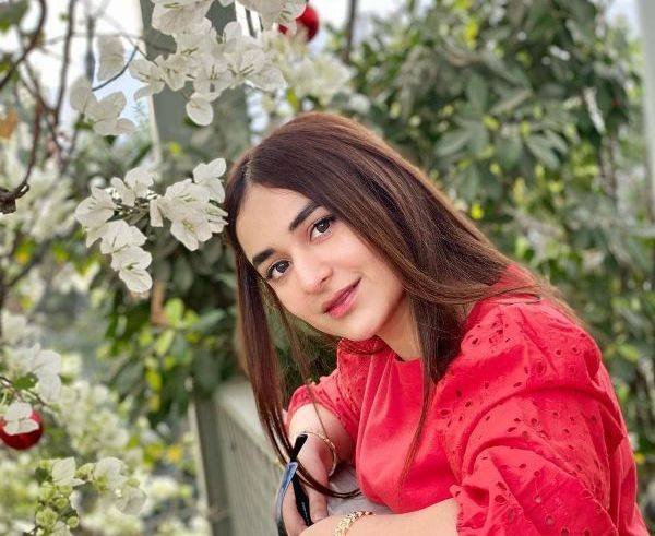 Yumna Zaidi Wiki, Height, Age, Boyfriend, Husband, Family, Biography ...